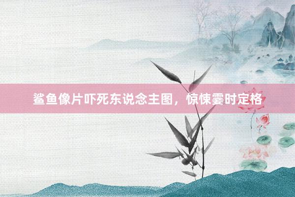 鲨鱼像片吓死东说念主图，惊悚霎时定格