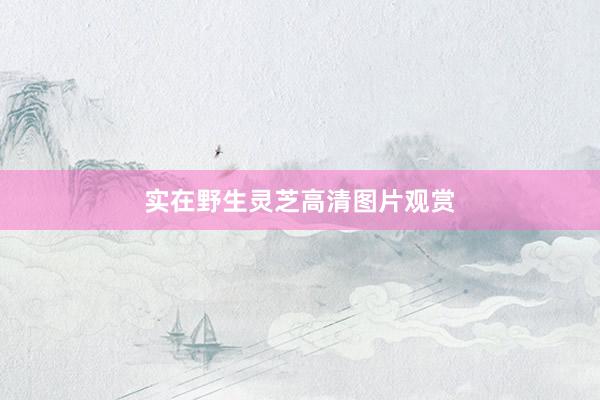 实在野生灵芝高清图片观赏