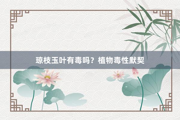 琼枝玉叶有毒吗?植物毒性默契