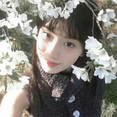 爱你,维克托第二季